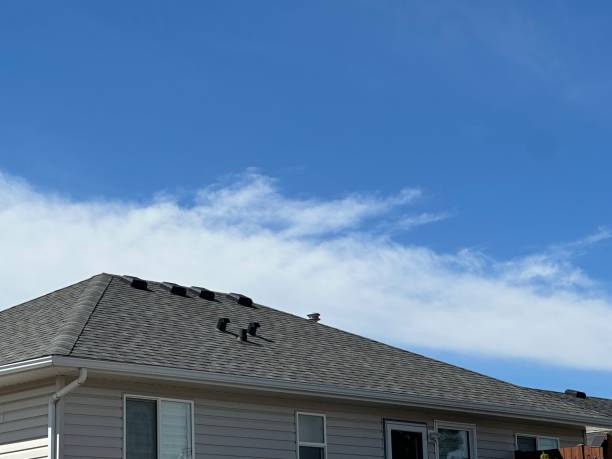 Best Gutter Installation and Repair  in Tecumseh, OK